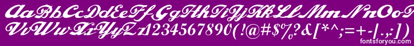 フォントalfaowner com script – 紫の背景に白い文字