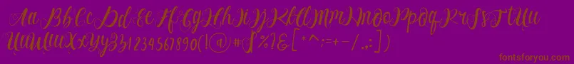 Alhenya Script-fontti – ruskeat fontit violetilla taustalla