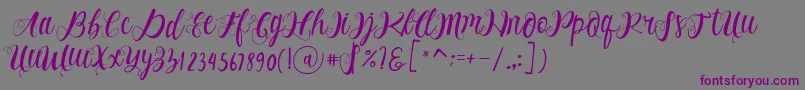 Alhenya Script-fontti – violetit fontit harmaalla taustalla