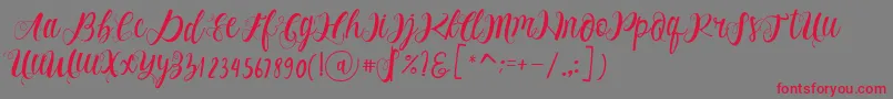 フォントAlhenya Script – 赤い文字の灰色の背景