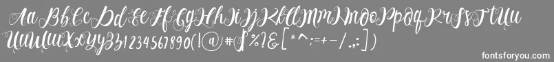 Alhenya Script-fontti – valkoiset fontit harmaalla taustalla