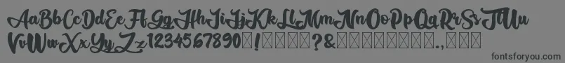 AliandoRocky Font – Black Fonts on Gray Background