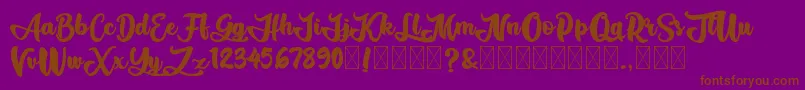 AliandoRocky Font – Brown Fonts on Purple Background