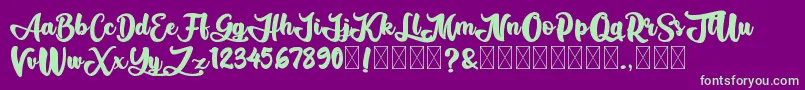 AliandoRocky Font – Green Fonts on Purple Background
