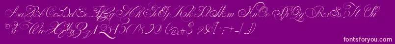 PenabicoLimitedFreeVersion Font – Pink Fonts on Purple Background