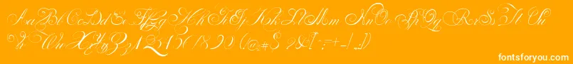 PenabicoLimitedFreeVersion Font – White Fonts on Orange Background