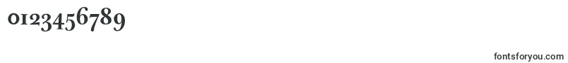 JbaskervilleBold-Schriftart – Schriften für Zahlen und Nummern
