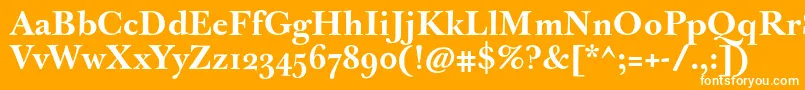 JbaskervilleBold Font – White Fonts on Orange Background