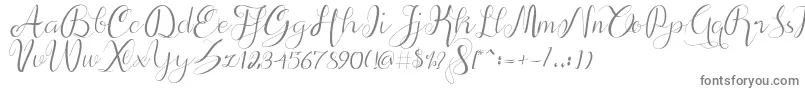 alif script Font – Gray Fonts