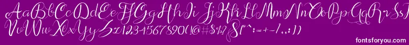 alif script Font – White Fonts on Purple Background