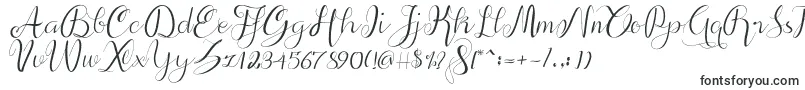 alif script Font – Fonts for Microsoft Office