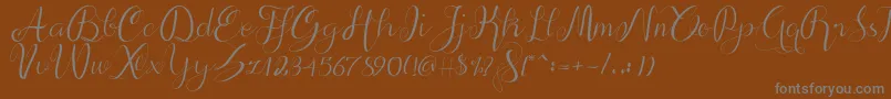 alif script Font – Gray Fonts on Brown Background