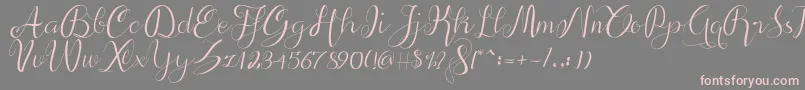 alif script Font – Pink Fonts on Gray Background