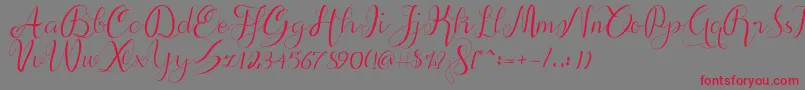 alif script Font – Red Fonts on Gray Background