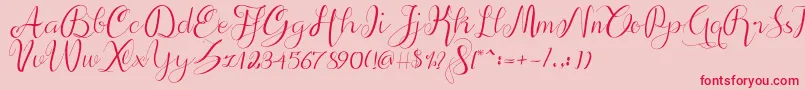 alif script Font – Red Fonts on Pink Background