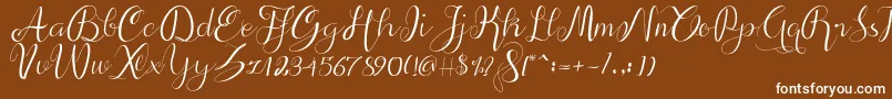 alif script Font – White Fonts on Brown Background