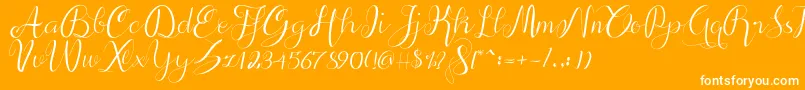 alif script-Schriftart – Weiße Schriften auf orangefarbenem Hintergrund