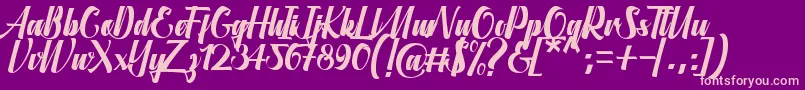 Aligantis Font Font – Pink Fonts on Purple Background