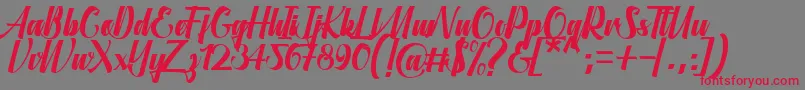 Aligantis Font Font – Red Fonts on Gray Background