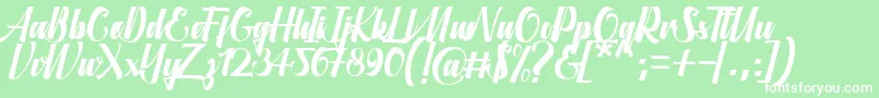 Aligantis Font Font – White Fonts on Green Background