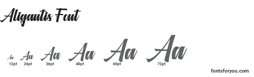 Rozmiary czcionki Aligantis Font