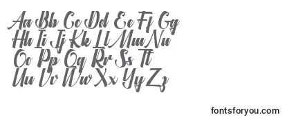 Überblick über die Schriftart Aligantis Font