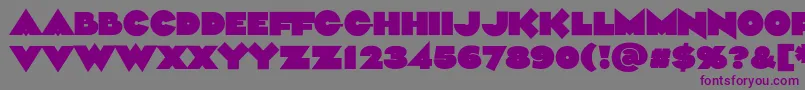 フォントAliment Black – 紫色のフォント、灰色の背景