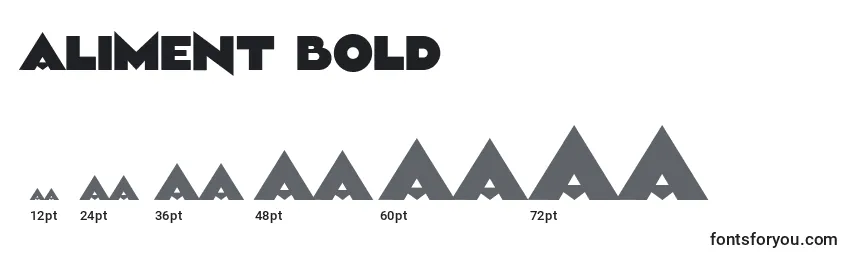 Размеры шрифта Aliment Bold (119151)
