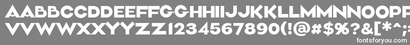 フォントAliment Medium – 灰色の背景に白い文字
