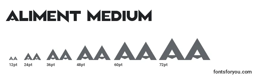 Aliment Medium (119155) Font Sizes