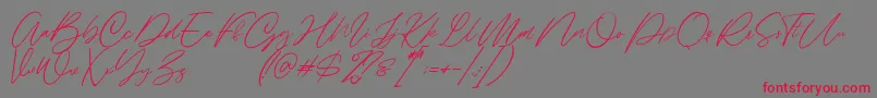 フォントAlinnea Demo – 赤い文字の灰色の背景