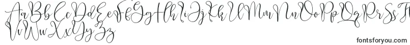 Aliquest-fontti – Kalligrafiafontit