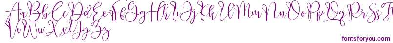 Aliquest Font – Purple Fonts on White Background