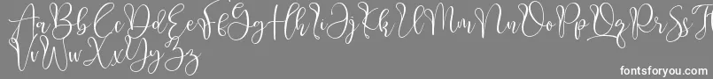 Aliquest Font – White Fonts on Gray Background