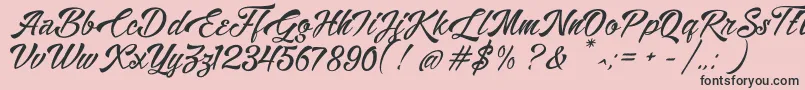 Alisandra Demo Font – Black Fonts on Pink Background