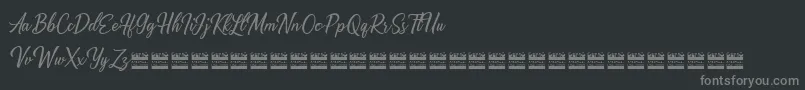 Alishader demo Font – Gray Fonts on Black Background