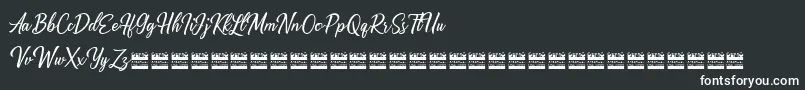 Alishader demo Font – White Fonts on Black Background