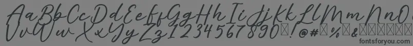 AlishaFree-fontti – mustat fontit harmaalla taustalla