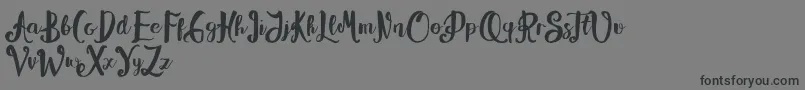 Alissya Font – Black Fonts on Gray Background