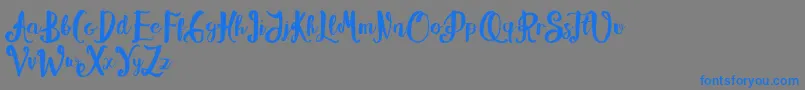 Alissya Font – Blue Fonts on Gray Background
