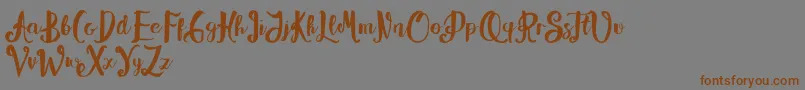 Alissya Font – Brown Fonts on Gray Background