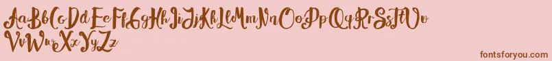 Alissya Font – Brown Fonts on Pink Background