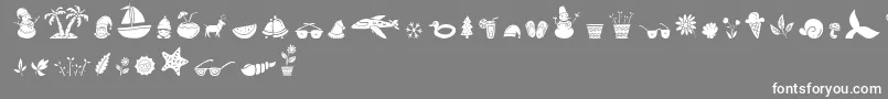 Czcionka All Season Ornaments Font by Keithzo 7NTypes – białe czcionki na szarym tle