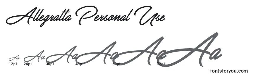 Размеры шрифта Allegratta Personal Use