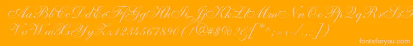 allegro Font – Pink Fonts on Orange Background