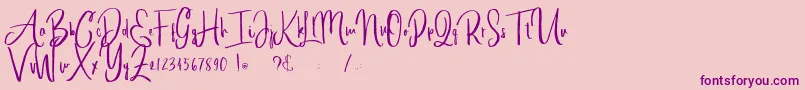 alleiyana Font – Purple Fonts on Pink Background