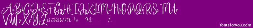 alleiyana Font – White Fonts on Purple Background