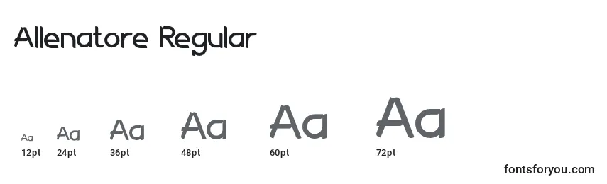 Размеры шрифта Allenatore Regular