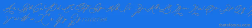 Allexandia-Schriftart – Graue Schriften auf blauem Hintergrund