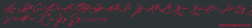 Allexandia Font – Red Fonts on Black Background